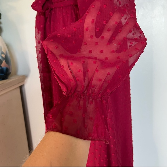 NWT, BTFBM V-Neck Maxi Dress with a Sheer Swiss Dot Overlay and Tie, Size Medium - Picture 8 of 15